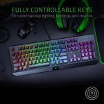 Razer BlackWidow Mechanical Gaming Keyboard - Green Switches Tactile & Clicky (Black) - Image 4