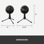 SNOW BALL ICE MICROPHONE