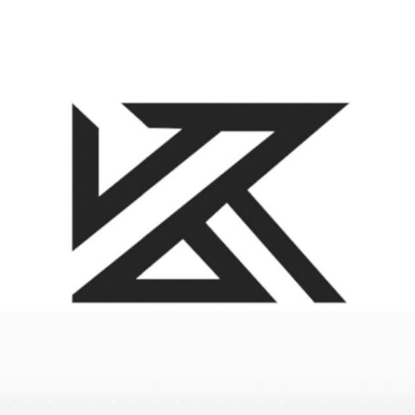 KZ ZSN Pro X