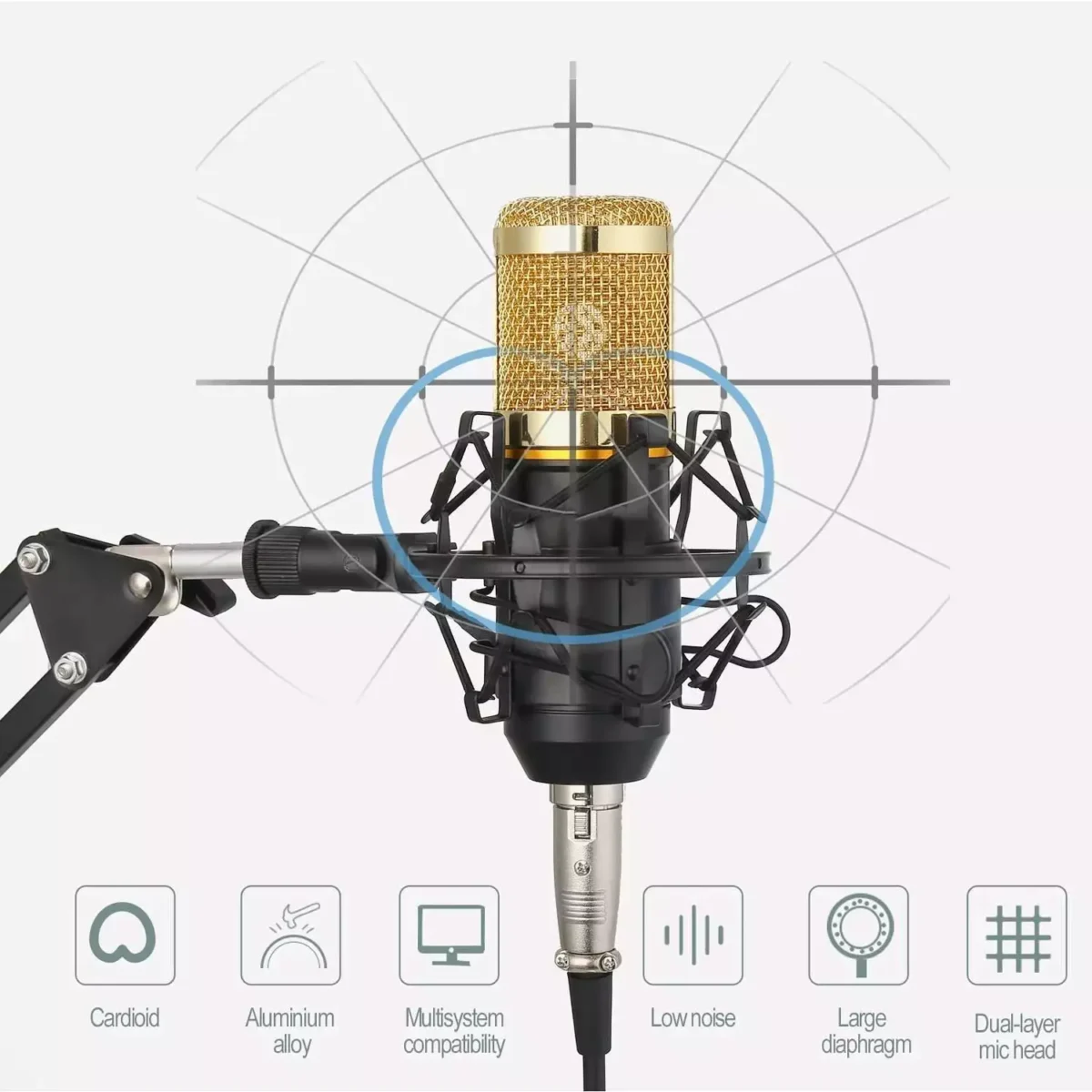 BM-800 Microphone + V8 Sound Card + Microphone Stand