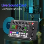 Professional Bluetooth Live Sound Mixer with DJ Mixer Effects and Voice Changer