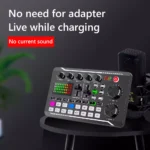 Professional Bluetooth Live Sound Mixer with DJ Mixer Effects and Voice Changer