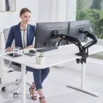 NB North Bayou Dual Monitor Stand for 17-27 inch
