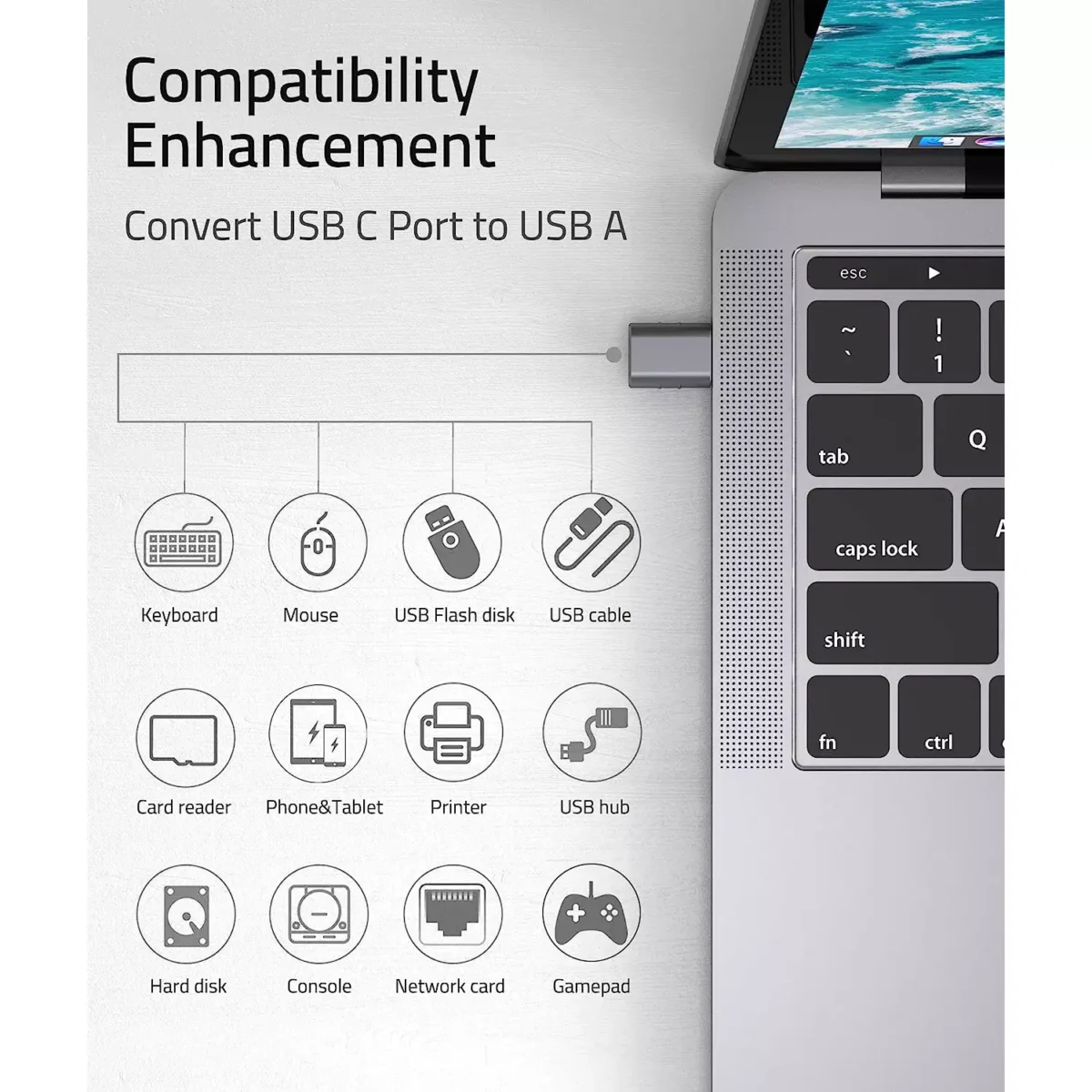 Syntech USB C Thunderbolt 3 to USB3.0 Adapter OTG (2 Pack)