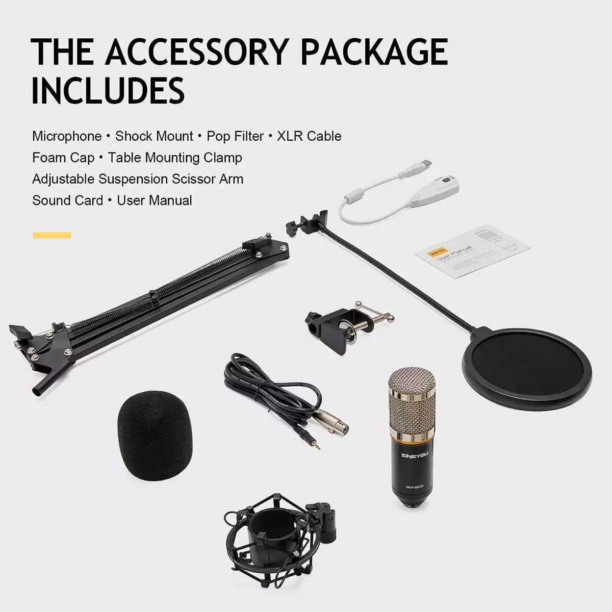 ZINGYOU BM-800 Condenser Microphone Bundle for Studio Recording & Brocasting (Silver)