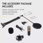 ZINGYOU BM-800 Condenser Microphone Bundle for Studio Recording & Brocasting (Silver)