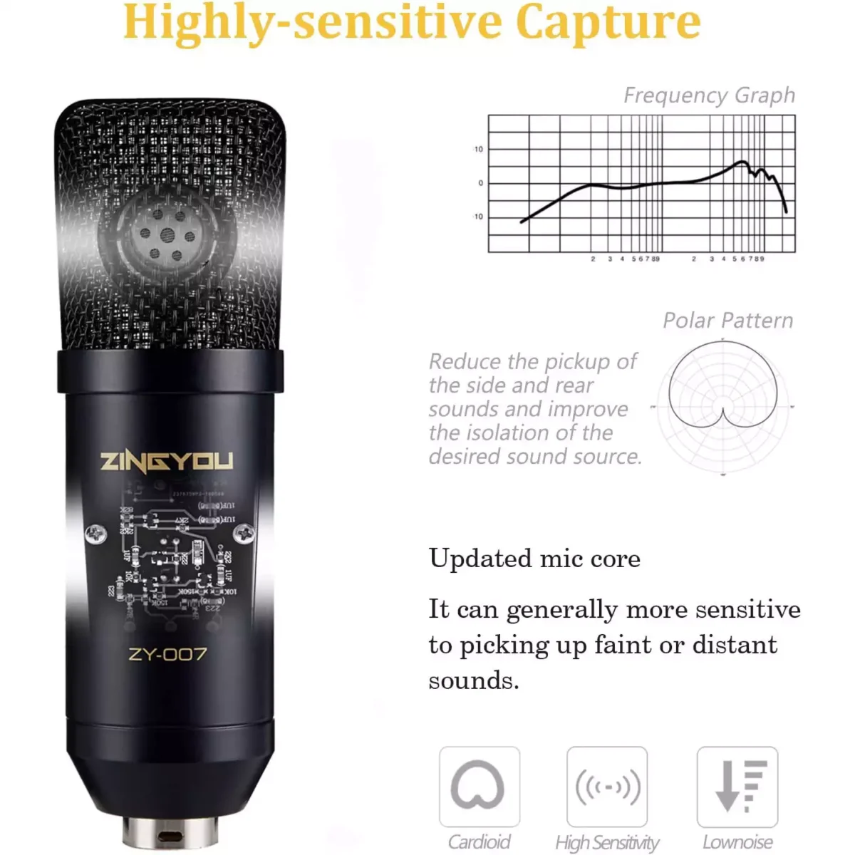 ZINGYOU ZY-007 Condenser Microphone Bundle for Studio Recording & Brocasting (Black)