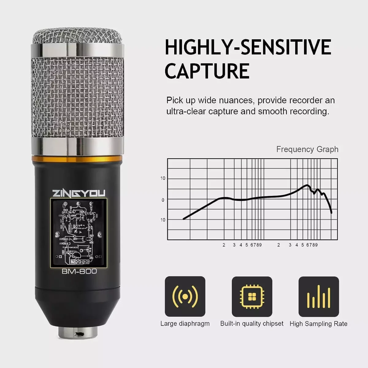 ZINGYOU BM-800 Condenser Microphone Bundle for Studio Recording & Brocasting (Silver)
