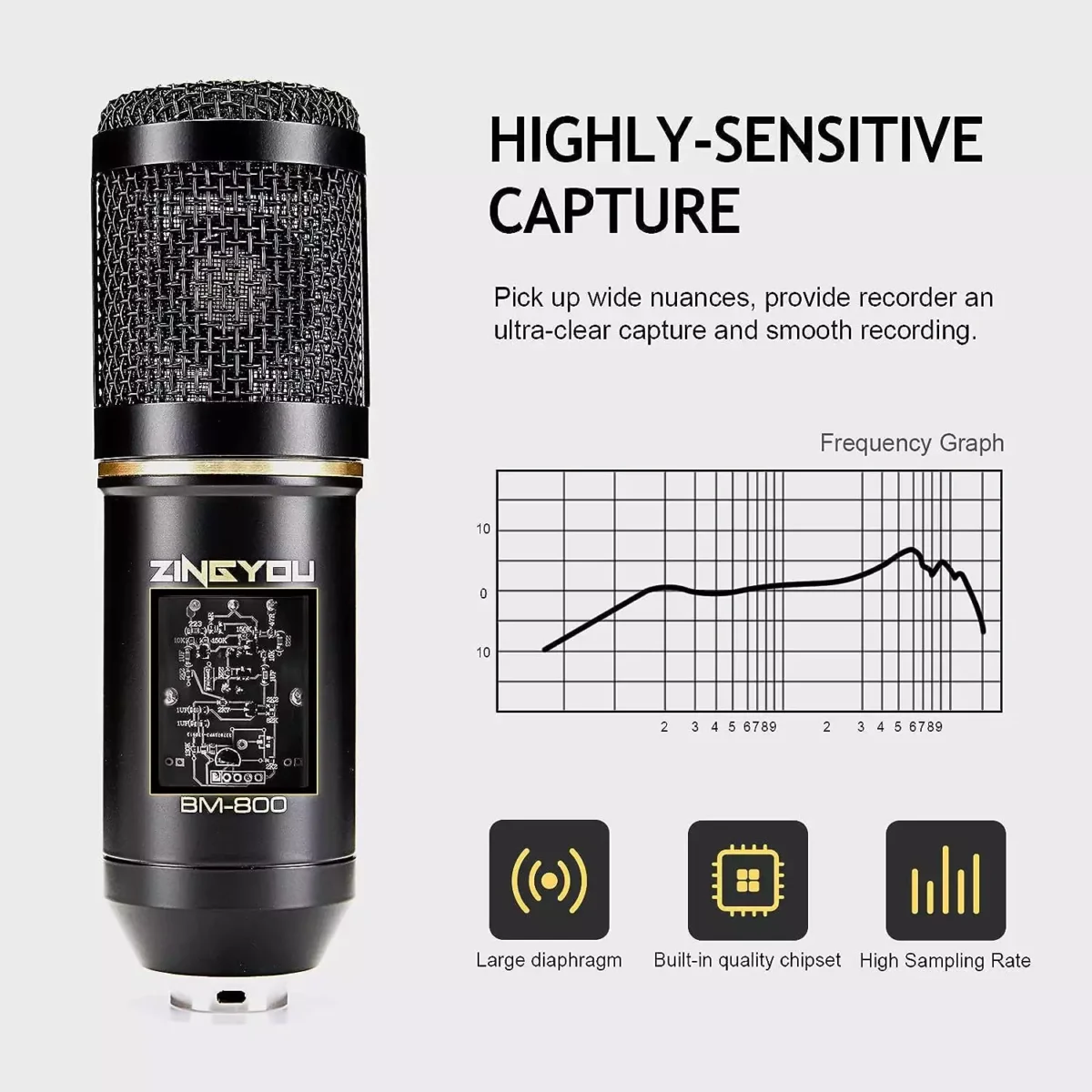 ZINGYOU BM-800 Condenser Microphone Bundle for Studio Recording & Brocasting (Black)