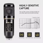 ZINGYOU BM-800 Condenser Microphone Bundle for Studio Recording & Brocasting (Black)