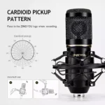ZINGYOU BM-800 Condenser Microphone Bundle for Studio Recording & Brocasting (Black)