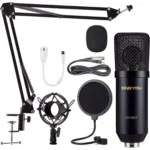 ZINGYOU ZY-007 Condenser Microphone Bundle for Studio Recording & Brocasting (Black)