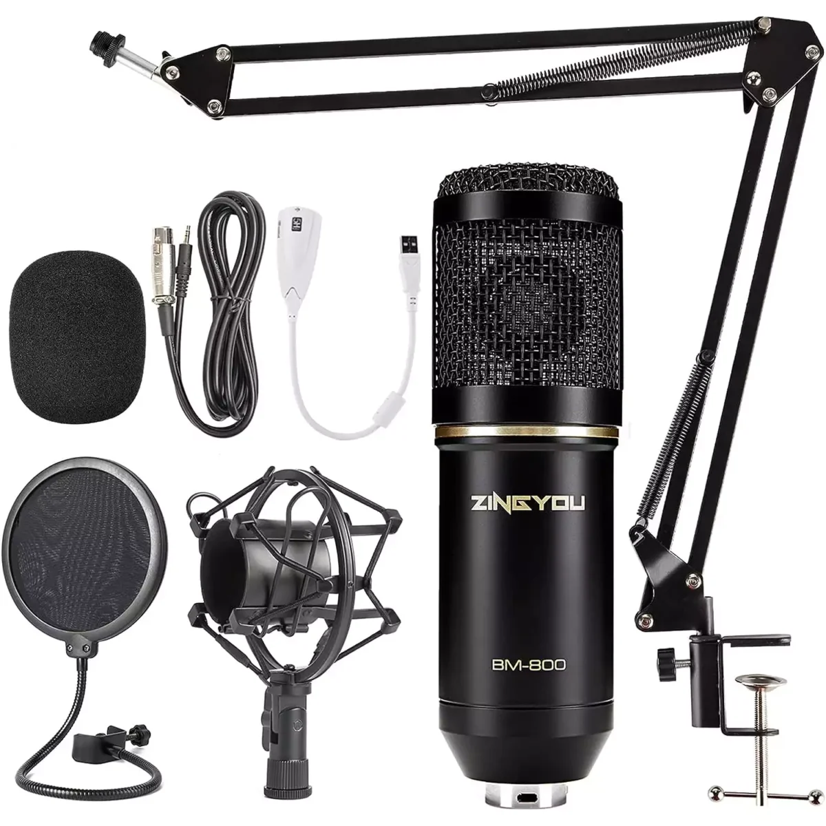 ZINGYOU BM-800 Condenser Microphone Bundle for Studio Recording & Brocasting (Black)