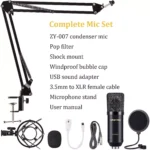 ZINGYOU ZY-007 Condenser Microphone Bundle for Studio Recording & Brocasting (Black)