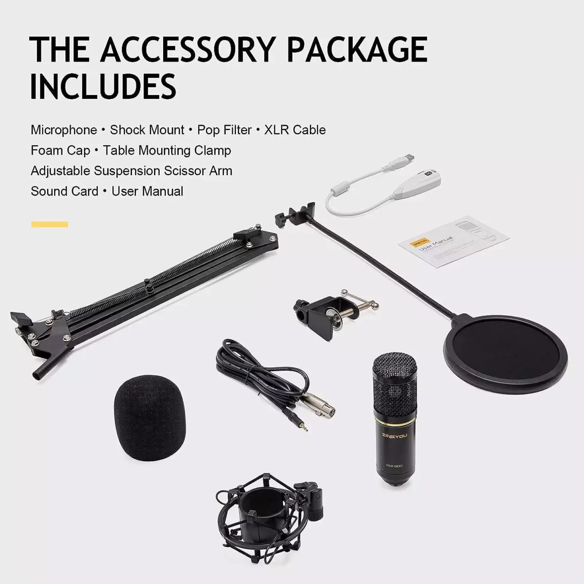 ZINGYOU BM-800 Condenser Microphone Bundle for Studio Recording & Brocasting (Black)