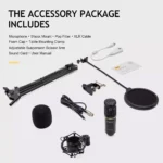 ZINGYOU BM-800 Condenser Microphone Bundle for Studio Recording & Brocasting (Black)