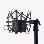 ZINGYOU BM-800 Condenser Microphone Bundle for Studio Recording & Brocasting (Black)