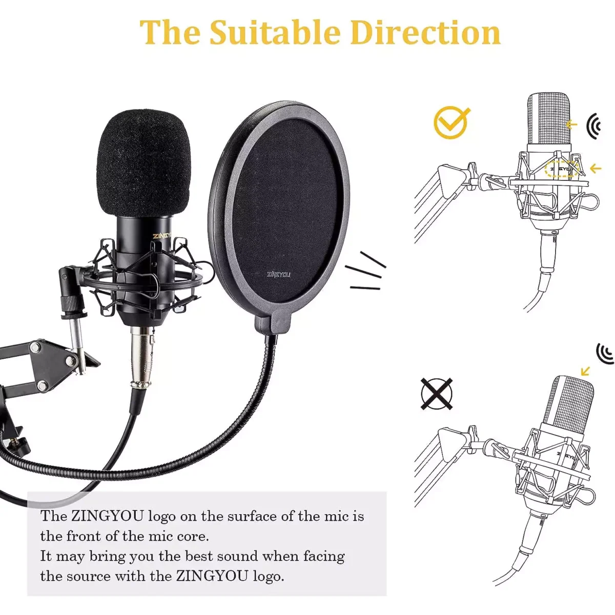ZINGYOU ZY-007 Condenser Microphone Bundle for Studio Recording & Brocasting (Black)