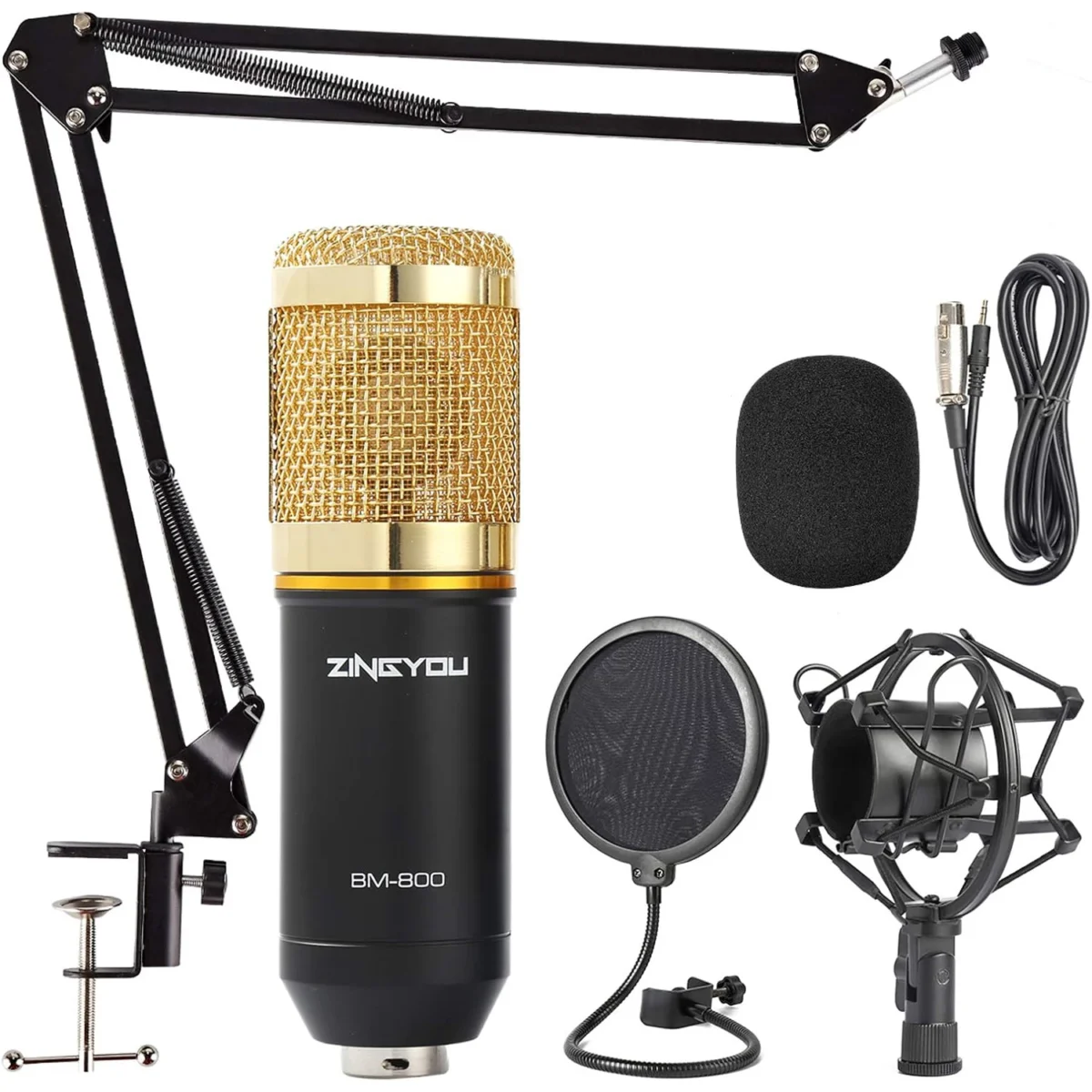 BM-800 MICROPHONE