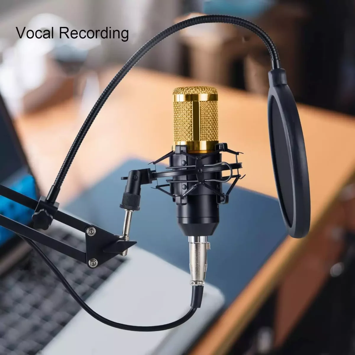 ZINGYOU BM-800 Condenser Microphone Bundle for Studio Recording & Brocasting (Gold)