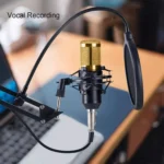 ZINGYOU BM-800 Condenser Microphone Bundle for Studio Recording & Brocasting (Gold)