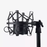 ZINGYOU BM-800 Condenser Microphone Bundle for Studio Recording & Brocasting (Gold)