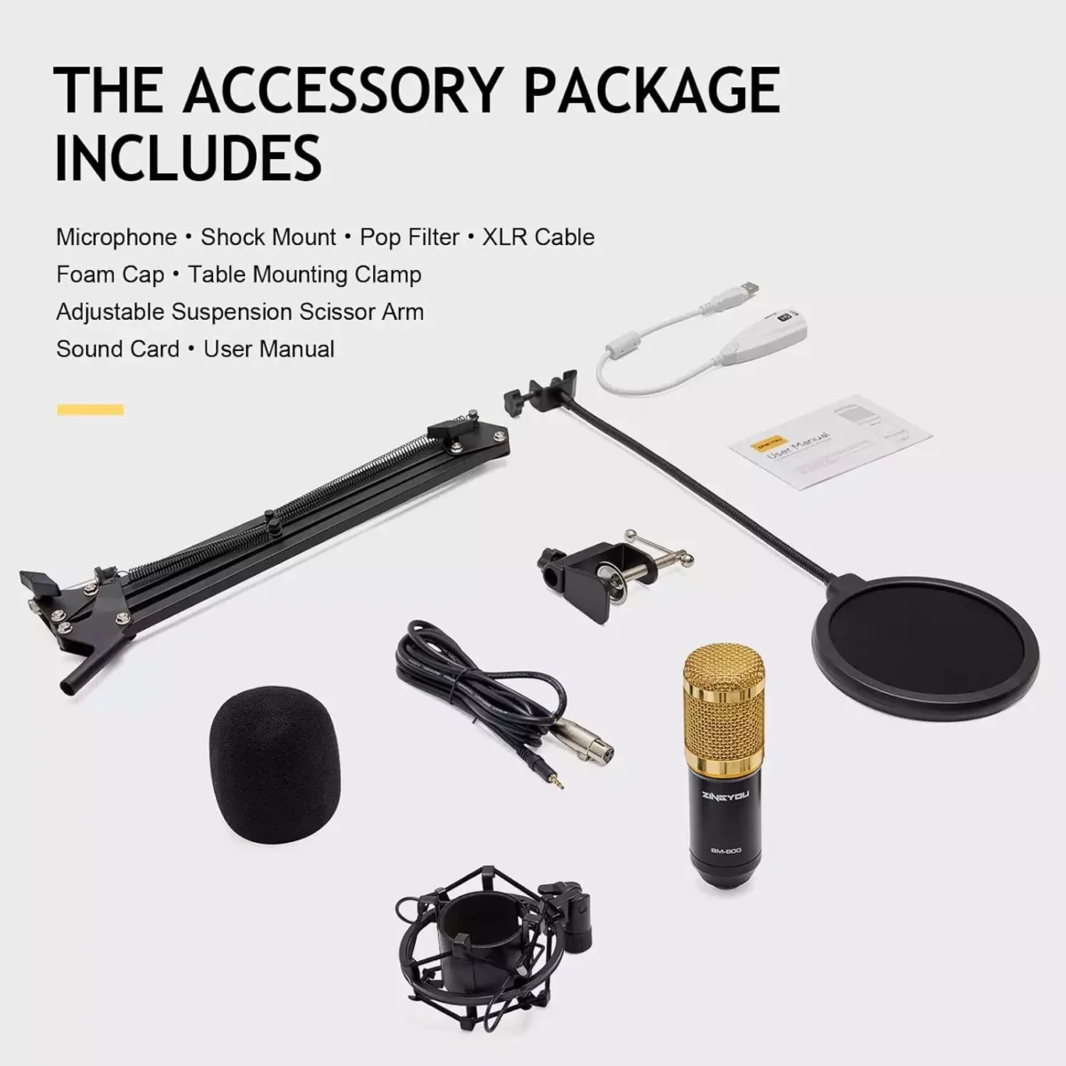 ZINGYOU BM-800 Condenser Microphone Bundle for Studio Recording & Brocasting (Gold)