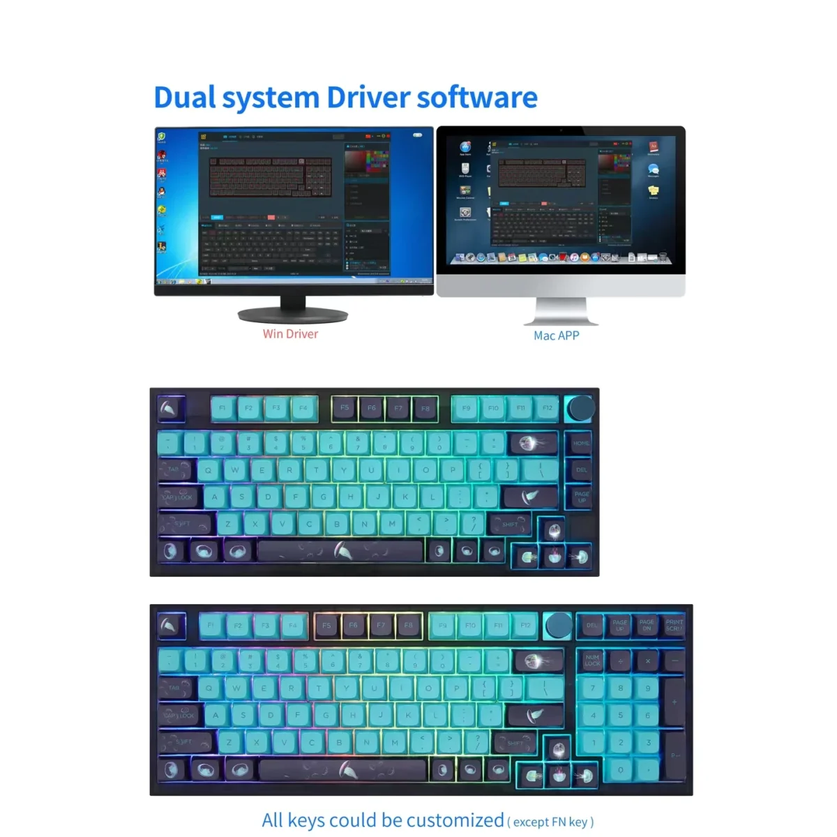 EPOMAKER SKYLOONG GK75 Jelly Fish RGB Gaming Keyboard - Gateron Optical Red Switch Hot Swappable