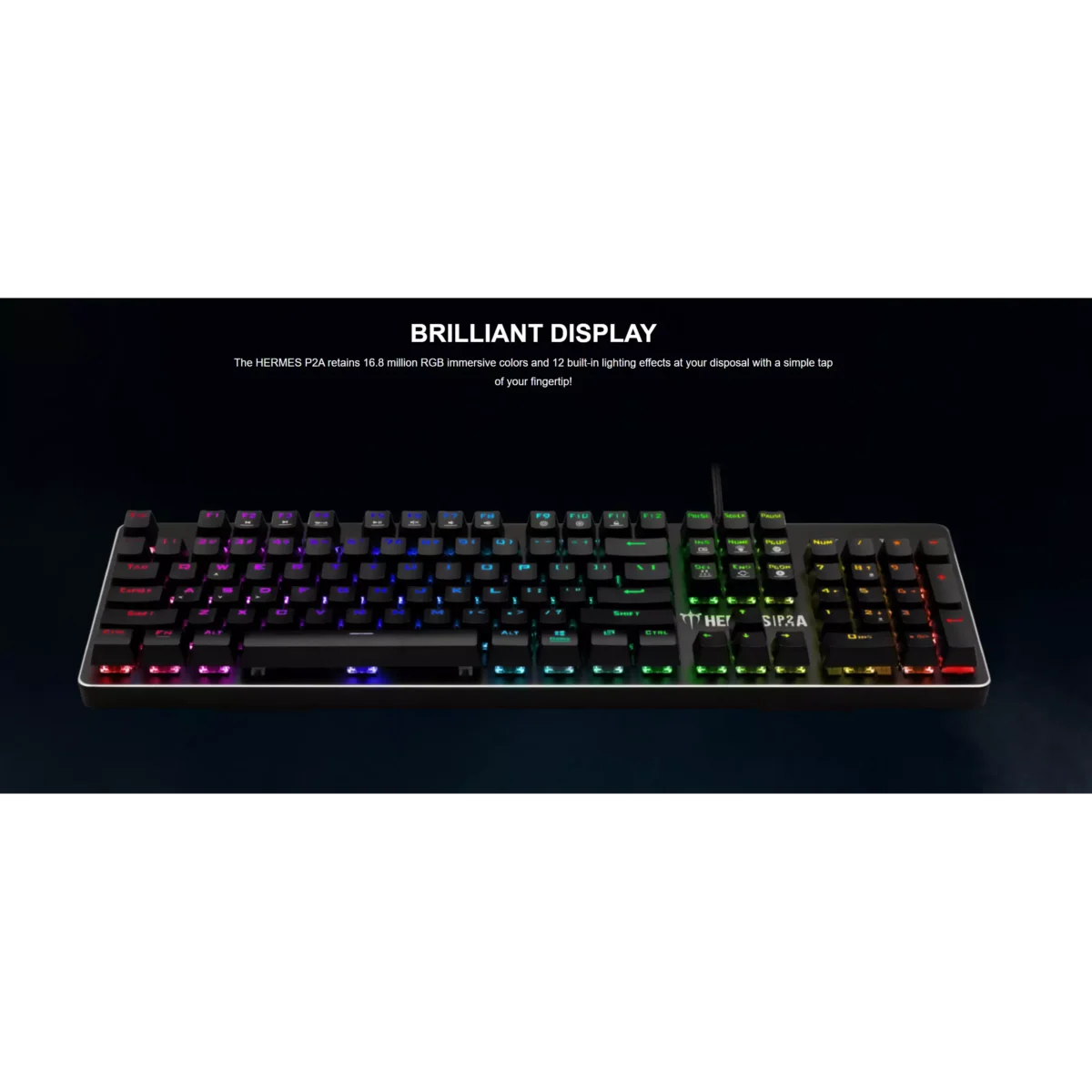 Gamdias HERMES P2A Optical RGB Gaming Keyboard - Blue Switch (Optical)