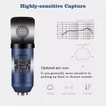 ZINGYOU ZY-007 Condenser Microphone Bundle for Studio Recording & Brocasting (Blue)