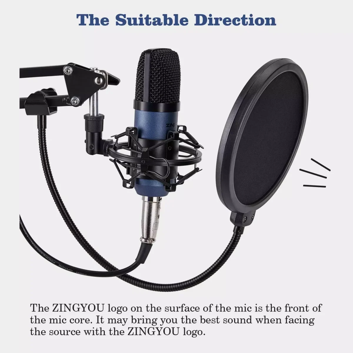 ZINGYOU ZY-007 Condenser Microphone Bundle for Studio Recording & Brocasting (Blue)