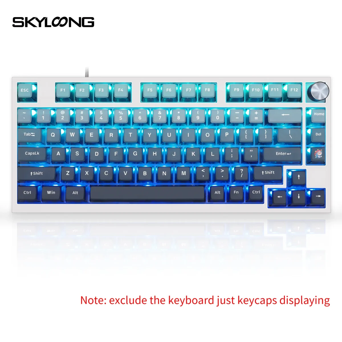 Skyloong GK7 PBT Translucent Keycaps Compatible with 600% Keyboard Layout (Gradient Blue)
