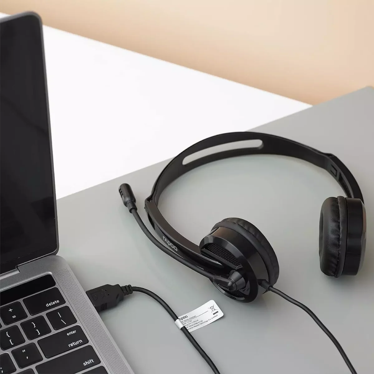 RAPOO H120 USB Stereo Business Headset