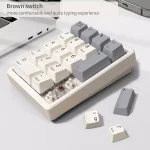 Magicforce MF17 RGB Mechanical Number Pad, Brown Switch Hot-Swappable