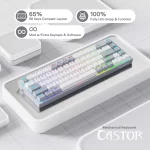 Redragon K631 CASTOR 65% Wired RGB Gaming Keyboard, Quiet Red Switch (White Grey)