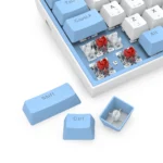 REDRAGON K617 Fizz RGB 60% Gaming Mechanical Keyboard - Red Switches (White Blue)
