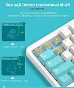 Captor KT68 RGB Gaming Mechanical Keyboard - HotSwappable Sea Salt Switch Linear - PBT Keycaps - Volume Knob