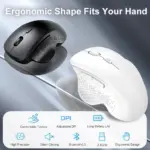 JERTECH ELITE W500 Dual Mode Wireless, Bluetooth Gaming Mouse - 2400 DPI Polling Rate 1000Hz - Silent Clicks