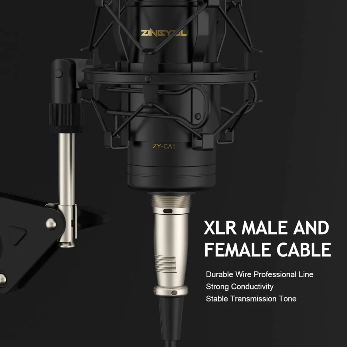 ZINGYOU ZY-CA1 XLR Condenser Cardioid Microphone + F11 Gaming Audio Mixer Interface, 48V Phantom Power, Voice Change