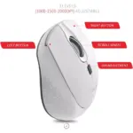 HAVIT Wireless Mouse Optical Sesnor 2,000 DPI