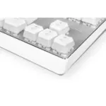 MODECOM VOLCANO LANPARTY RGB Pudding Edition - Outemu Blue - Double-Shot Pudding Keycaps - Aluminium Housing - Full RGB backlighting (16.7 million colors) -Full Keys Anti Ghosting (White)