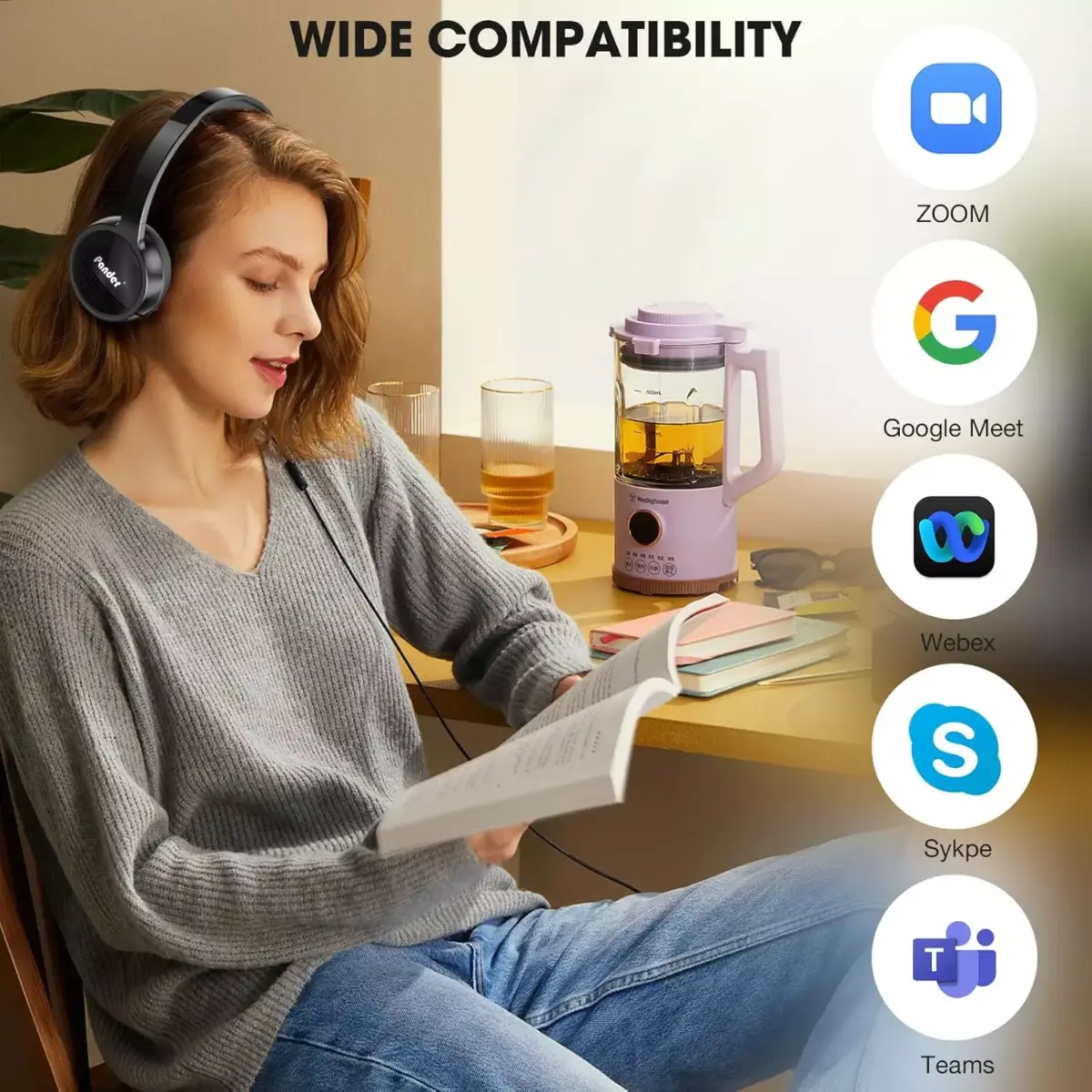 Pander USB Headset with Noise Cancelling Microphone for Work Office Online Class Skype Zoom Meeting (Black)