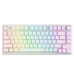 SKYLOONG GK75 HE RGB Gaming Magnetic Keyboard - Magnetic Switch Hall Effect Hot Swappable - 8000 Hz Polling - Rate Rapid Trigger 0.01mm (White)