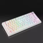 SKYLOONG GK75 HE RGB Gaming Magnetic Keyboard - Magnetic Switch Hall Effect Hot Swappable - 8000 Hz Polling - Rate Rapid Trigger 0.01mm (White)