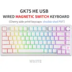 SKYLOONG GK75 HE RGB Gaming Magnetic Keyboard - Magnetic Switch Hall Effect Hot Swappable - 8000 Hz Polling - Rate Rapid Trigger 0.01mm (White)
