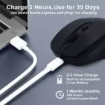 Nengshi M256 Dual Mode Wireless, Bluetooth Silent Click Mouse - Optical Sensor 1600 DPI Rechargeable USB C (Black)