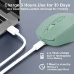Nengshi M256 Dual Mode Wireless, Bluetooth Silent Click Mouse - Optical Sensor 1600 DPI Rechargeable USB C (Green)
