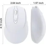 Nengshi M256 Dual Mode Wireless, Bluetooth Silent Click Mouse - Optical Sensor 1600 DPI Rechargeable USB C (White)