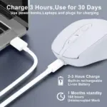 Nengshi M256 Dual Mode Wireless, Bluetooth Silent Click Mouse - Optical Sensor 1600 DPI Rechargeable USB C (White)