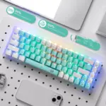 Redragon K631 CASTOR Wired RGB Gaming Mechanical Keyboard, Hot-Swappable Red Quiet Linear Switch W/Hot-Swap Free-Mod Pcb Socket & Translucent Board (Mint White)